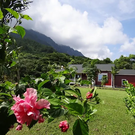 Hana Mana Yakushima  Exterior photo