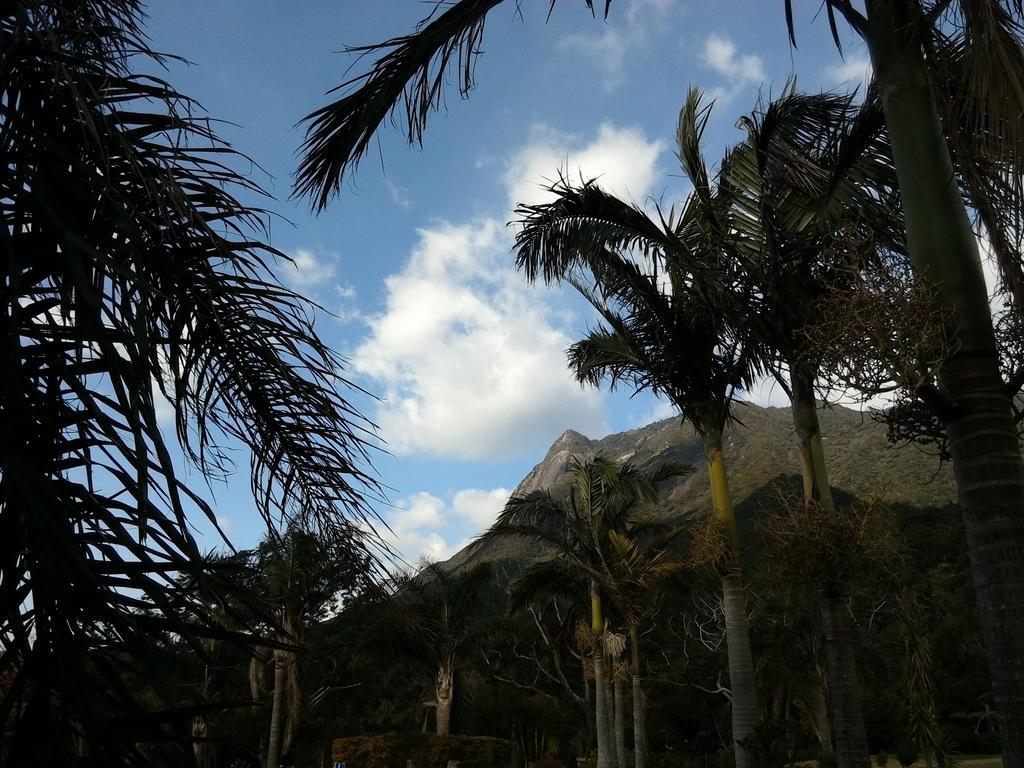Hana Mana Yakushima (Kagoshima)