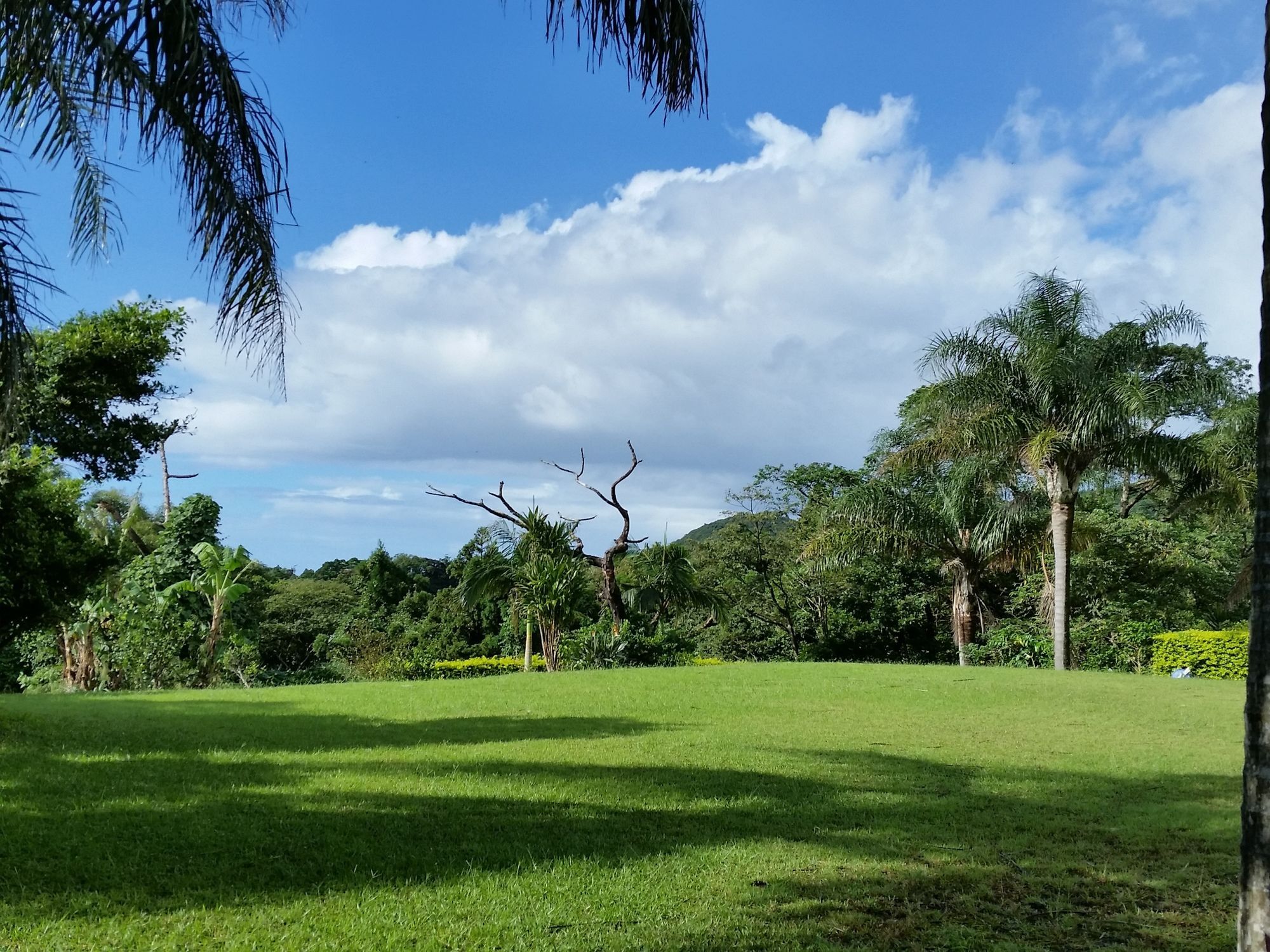 Hana Mana Villa